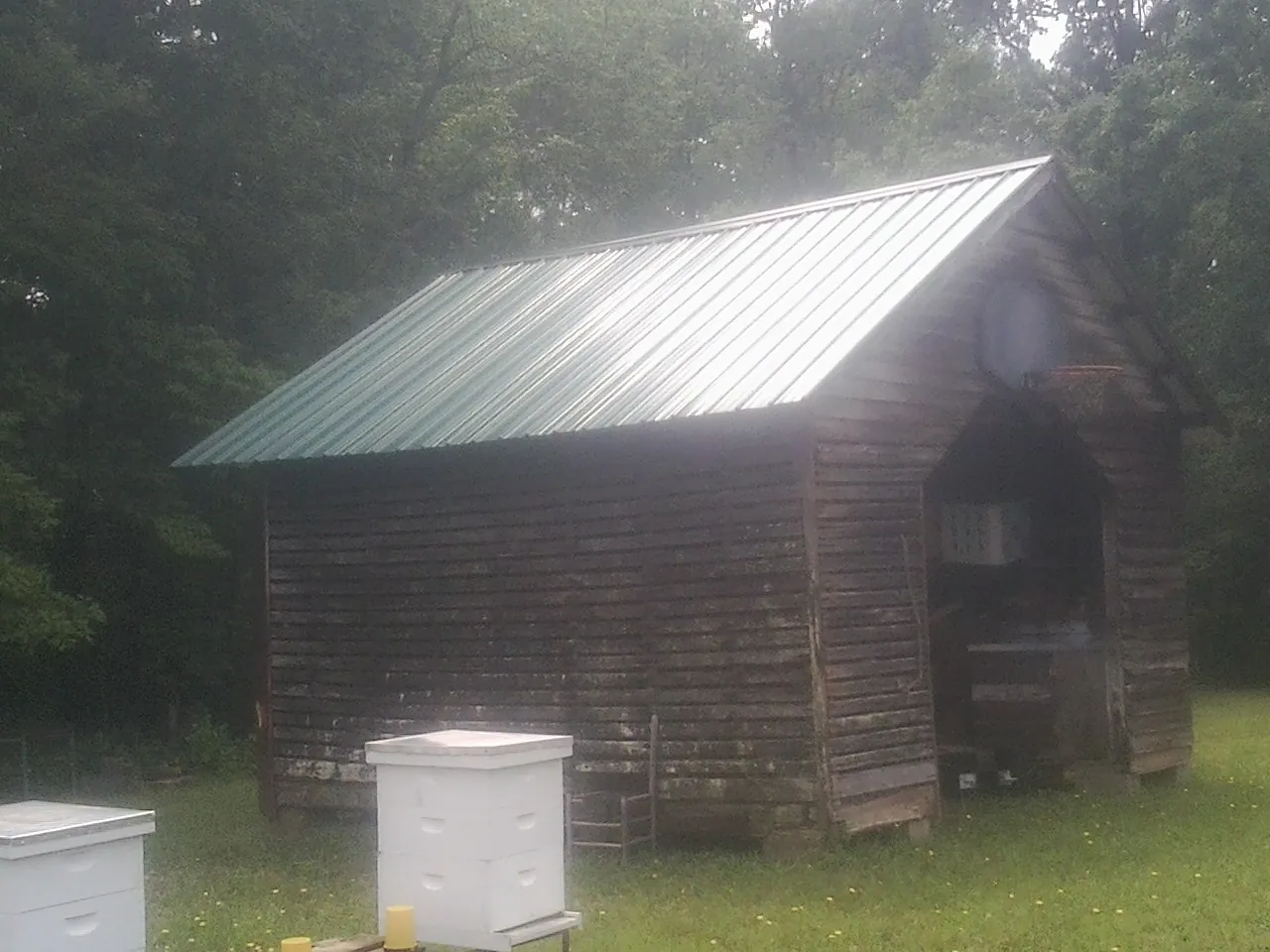 Green metal roof on a weathered barn beside stacked beehives in Callahan
